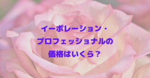 イーポレーション・プロフェッショナルの価格はいくら？